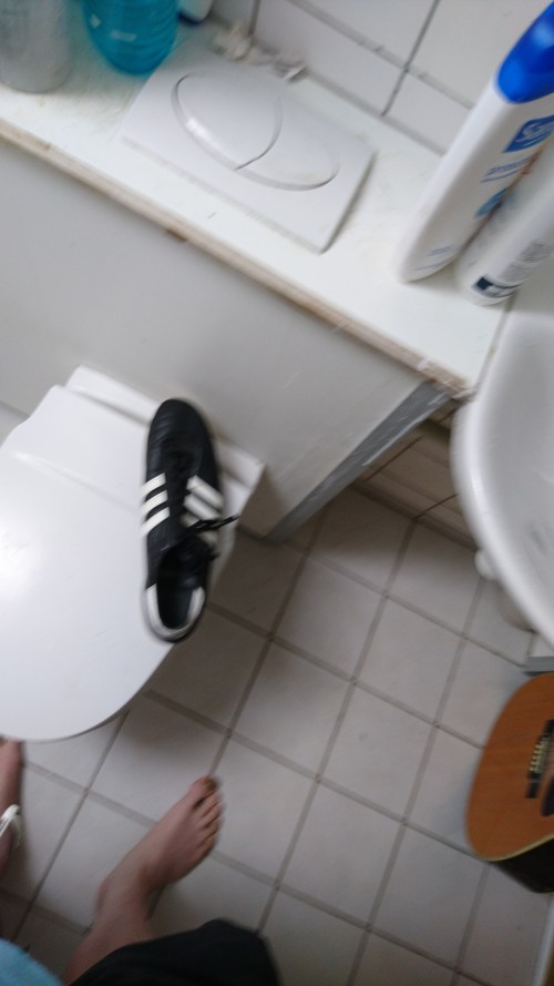 aa2bd8.jpg