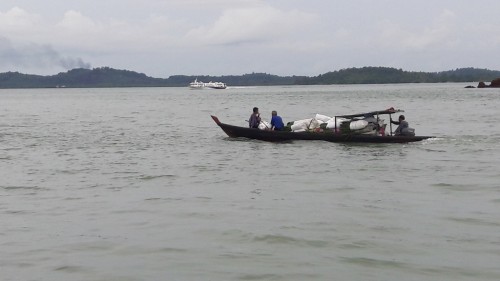 acf84b.jpg