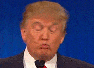 adc14b.gif
