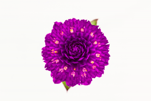 b4d59b.png
