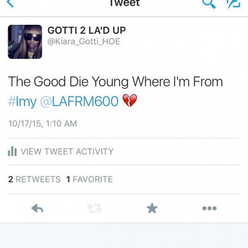 12080479 511509459014614 16221022 n