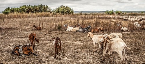 Andalusië 2013 (48)