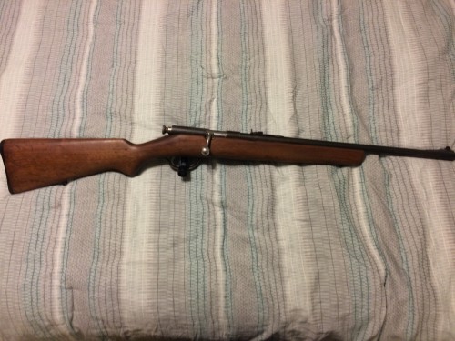 bac8cf.jpg