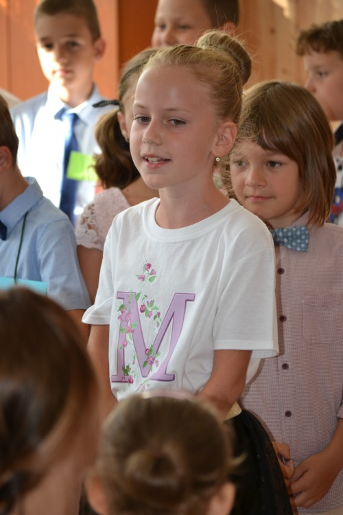 c6d826.jpg