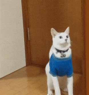c6ee4c.gif