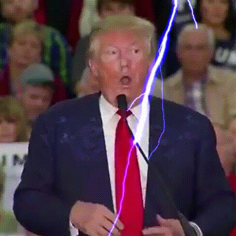 cb1cce.gif