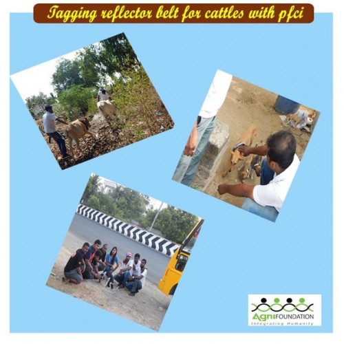 HUMANITY IS NOT ONLY RESTRICTED FOR HUMANS ALONE.