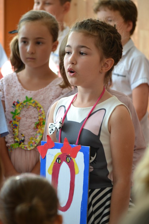 d46500.jpg