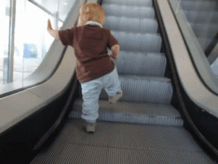 db2379.gif