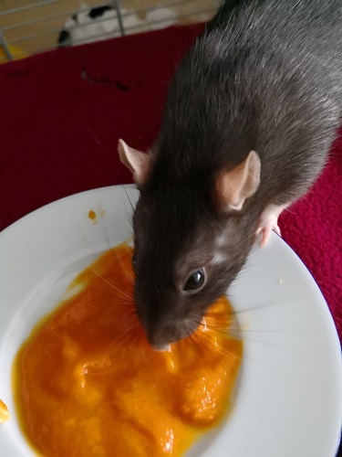 f1c6f8.jpg