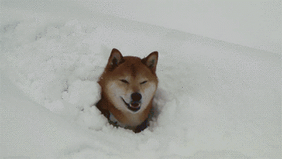 f88240.gif