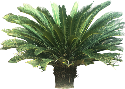 fa9042.png