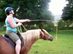 fb0fa0.gif