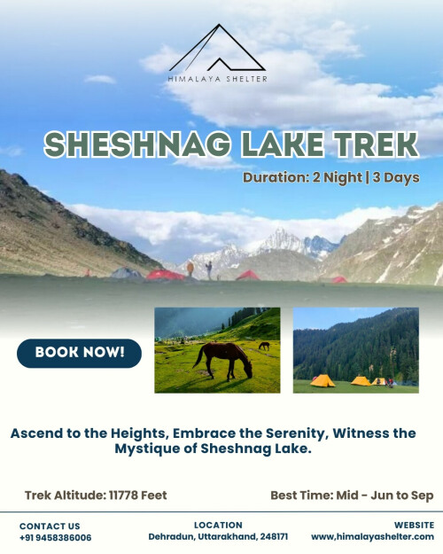 Sheshnag Lake Trek