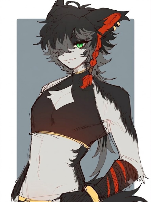 j3Zk.png