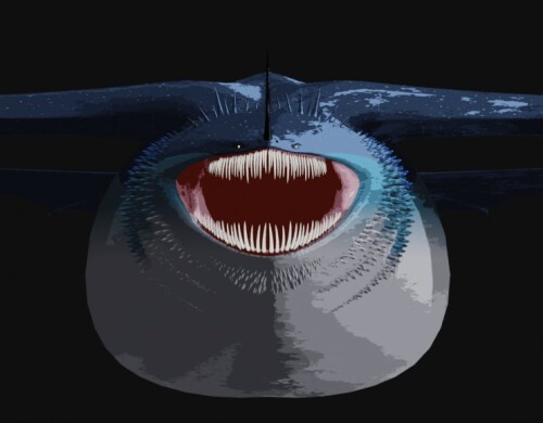 j4Dv.jpeg