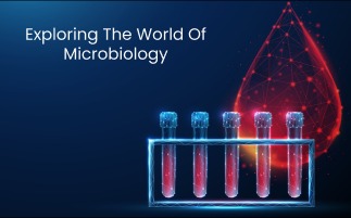j6q8.jpg