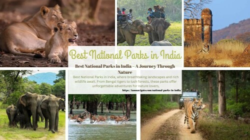 Best National Parks in India