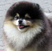 jSCm.png