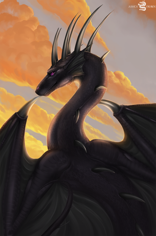 jelL.png
