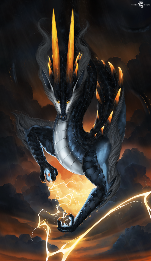 ji7s.png