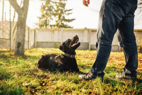 jle8.jpg