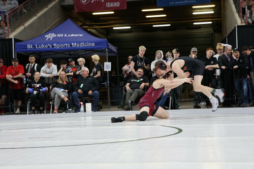 jnCC.jpg