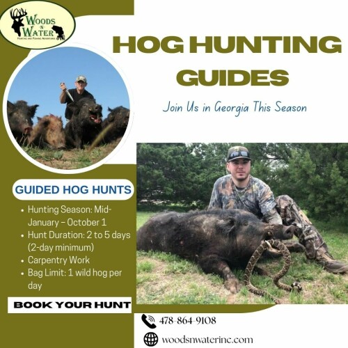 joiQ.jpg